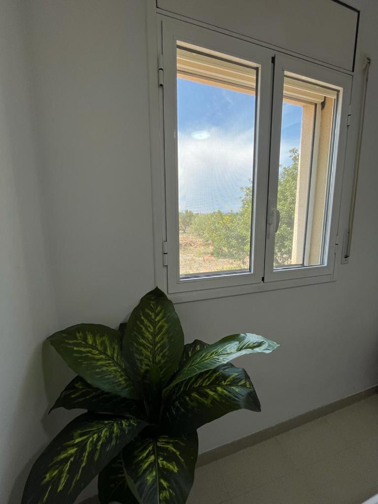 Ferienwohnung Fantastico Duplex Con Piscina -4 Personas- L'Ampolla Exterior foto